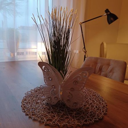 Apartament Wanderglueck Braunlage Zewnętrze zdjęcie